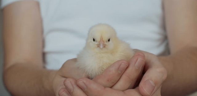 Da li vaš dominanti stil emotivnog vezivanja radi za vas ili protiv vas?