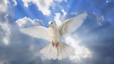 Promišljanje Željka Šešuma na pragu 2012. godine